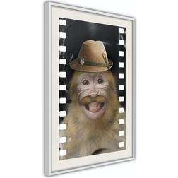 Arkiio Affisch Monkey In Hat [Poster] 20x30 Poster